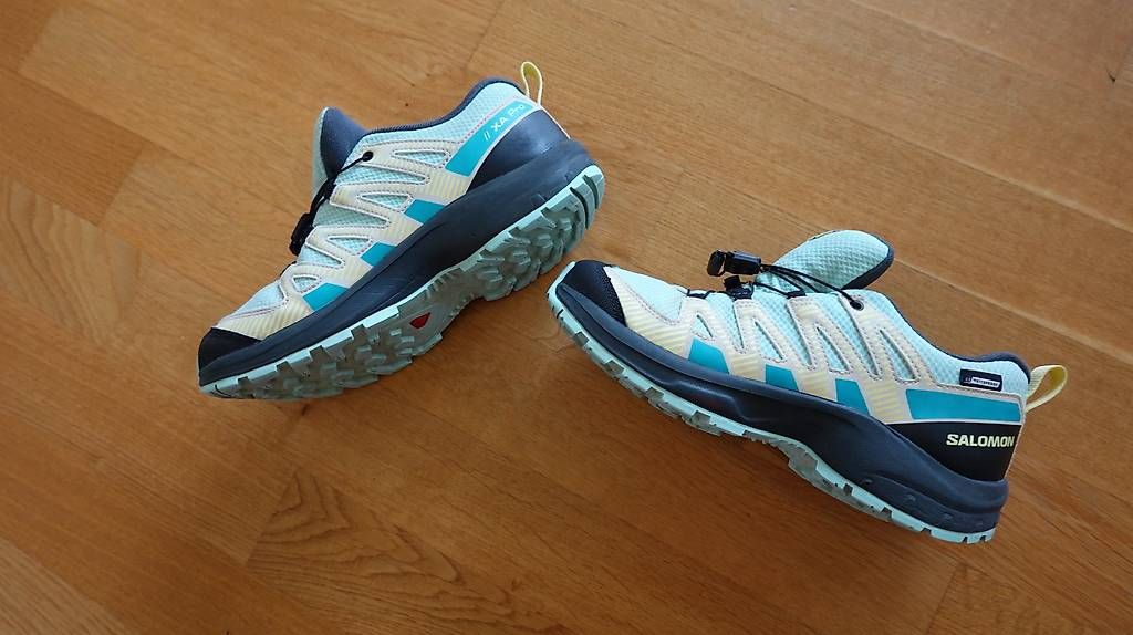 Scarpe da donna: Salomon XA Pro Waterproof G37 – Usato da Uster venduto da Blake13 1