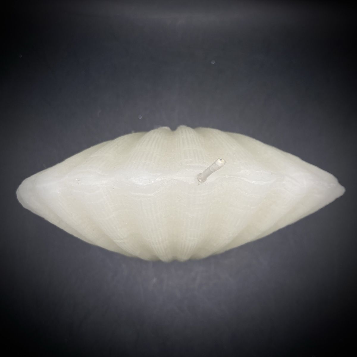 Candele: Kerze Muschel Form weiss, neu – Nuovo (secondo la descrizione) da Vinelz venduto da Viewfinder84 3