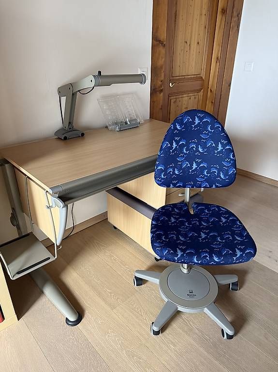 Moll Scrivanie: Bureau Moll – Usato da Savièse venduto da rolvarone 2