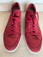 Sneakers TOD’S, p. 8.5