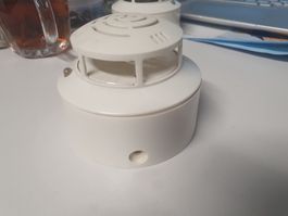 Brandmelder TDS 247 Hekatron mit Montagesockel