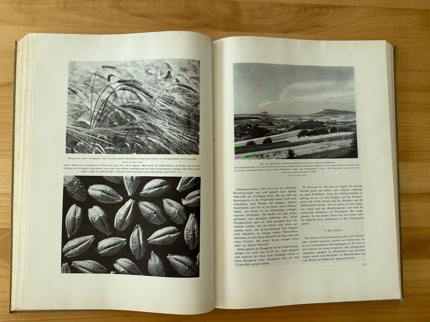 Libri: Das Buch vom Schweizer Brot – Usato da Zürich venduto da mirjamgg 2