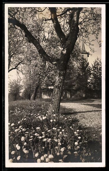 Cartes postales: AK Sutz bei Biel, Kirche – D'occasion à Berlin par bartko-reher