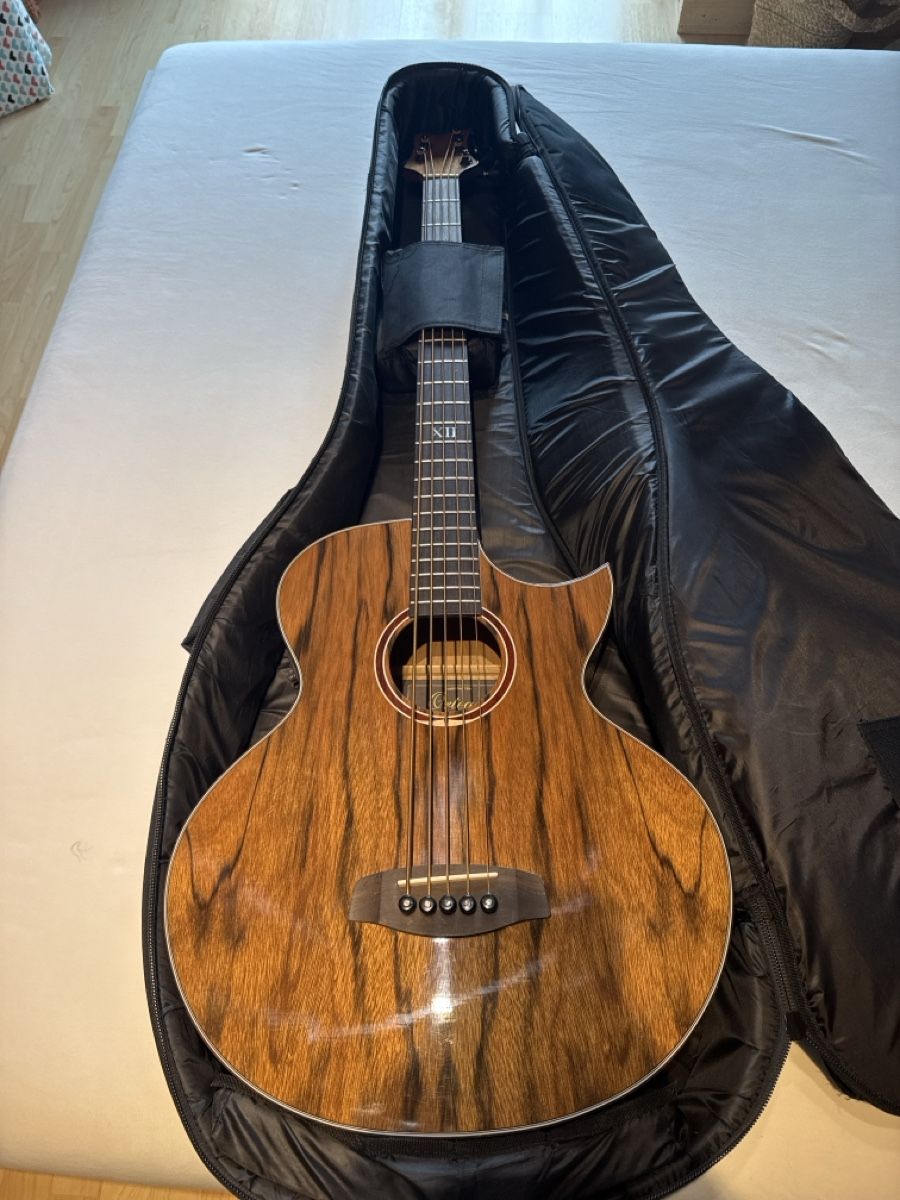 Strumenti musicali: Bass Gitarre Halbakustisch – Usato da Adelboden venduto da gloomer 4