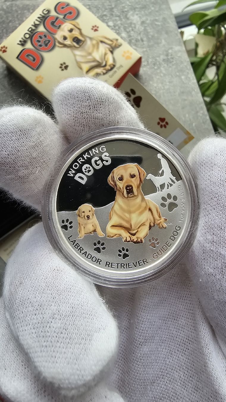 Tutti le monete: Working Dogs Labrador Guide Dog 1 oz Silver Proof Tuvalu – Usato da Petit-Lancy venduto da SilverCoinCoin