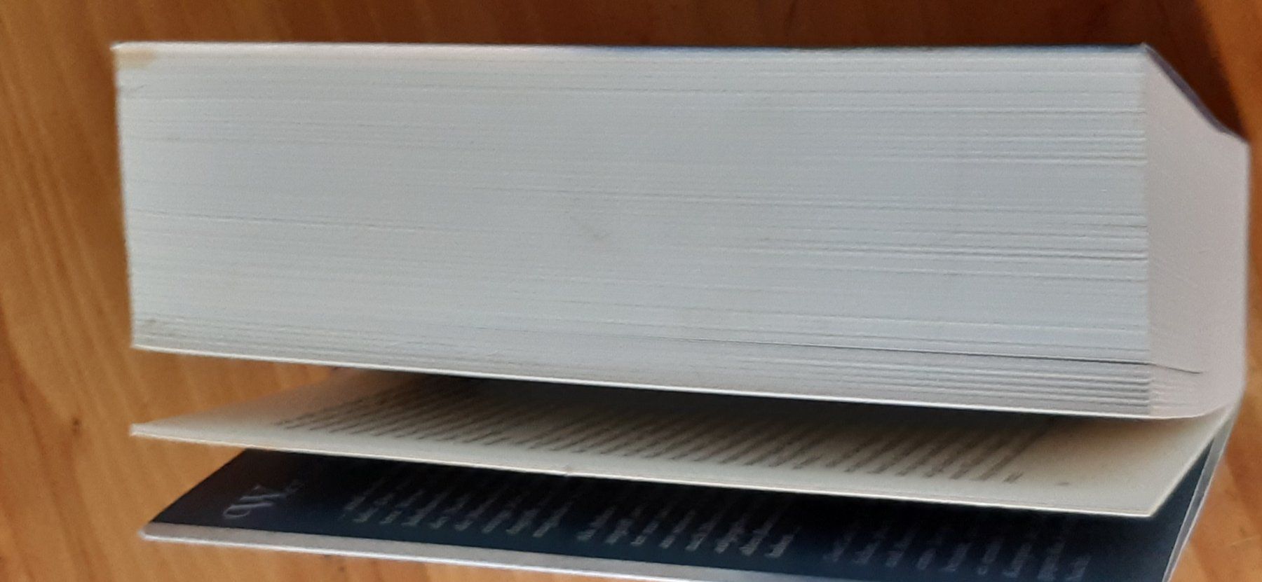 Libri: Peter V. Brett – Das Lied der Dunkelheit – Usato da Doppleschwand venduto da Sandrafritz 3