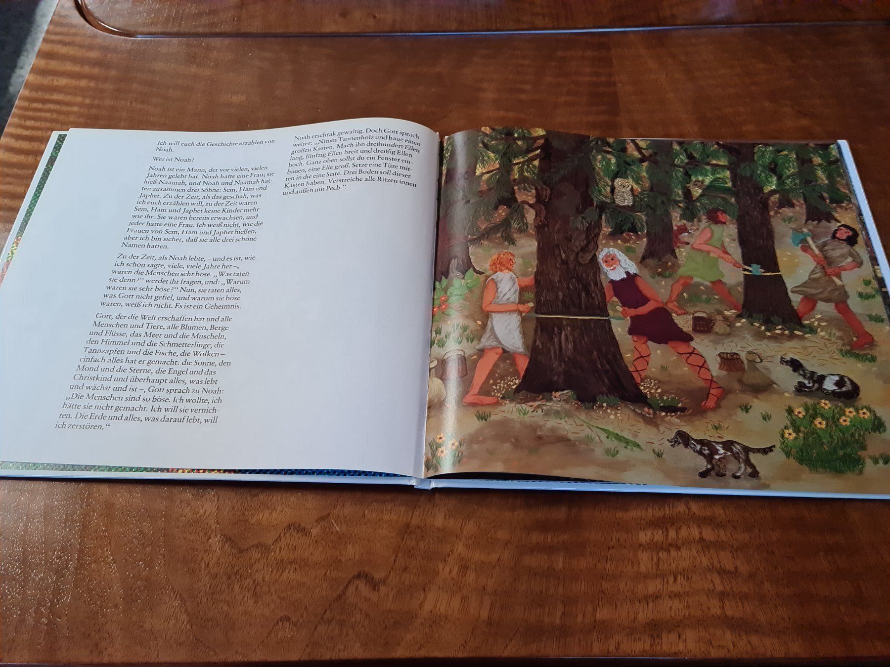 Libri: Arche Noah – Usato da Erstfeld venduto da Uhu1980 1