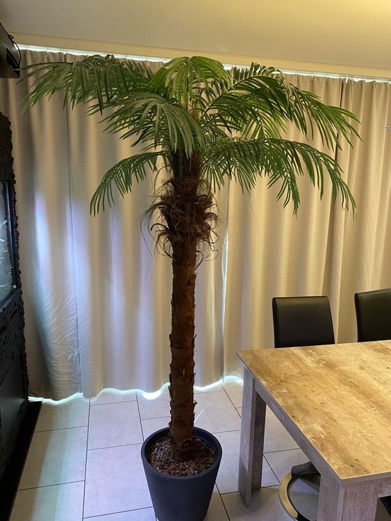 Grosse Kunstliche Palme