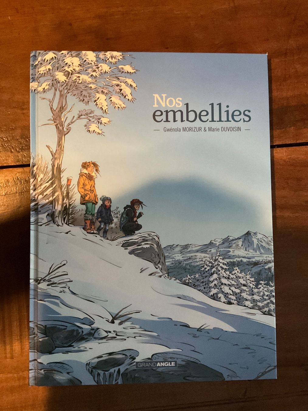 Fumetti: BD "Nos embellies" comme neuf ! – Usato da Avenches venduto da Lactobacille