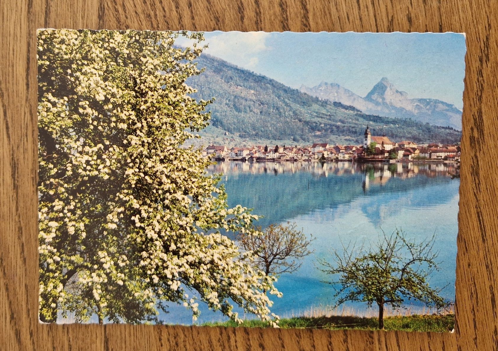 Cartoline postali: Arth am See mit Mythen 1965 – Usato da Ebikon venduto da Donar50