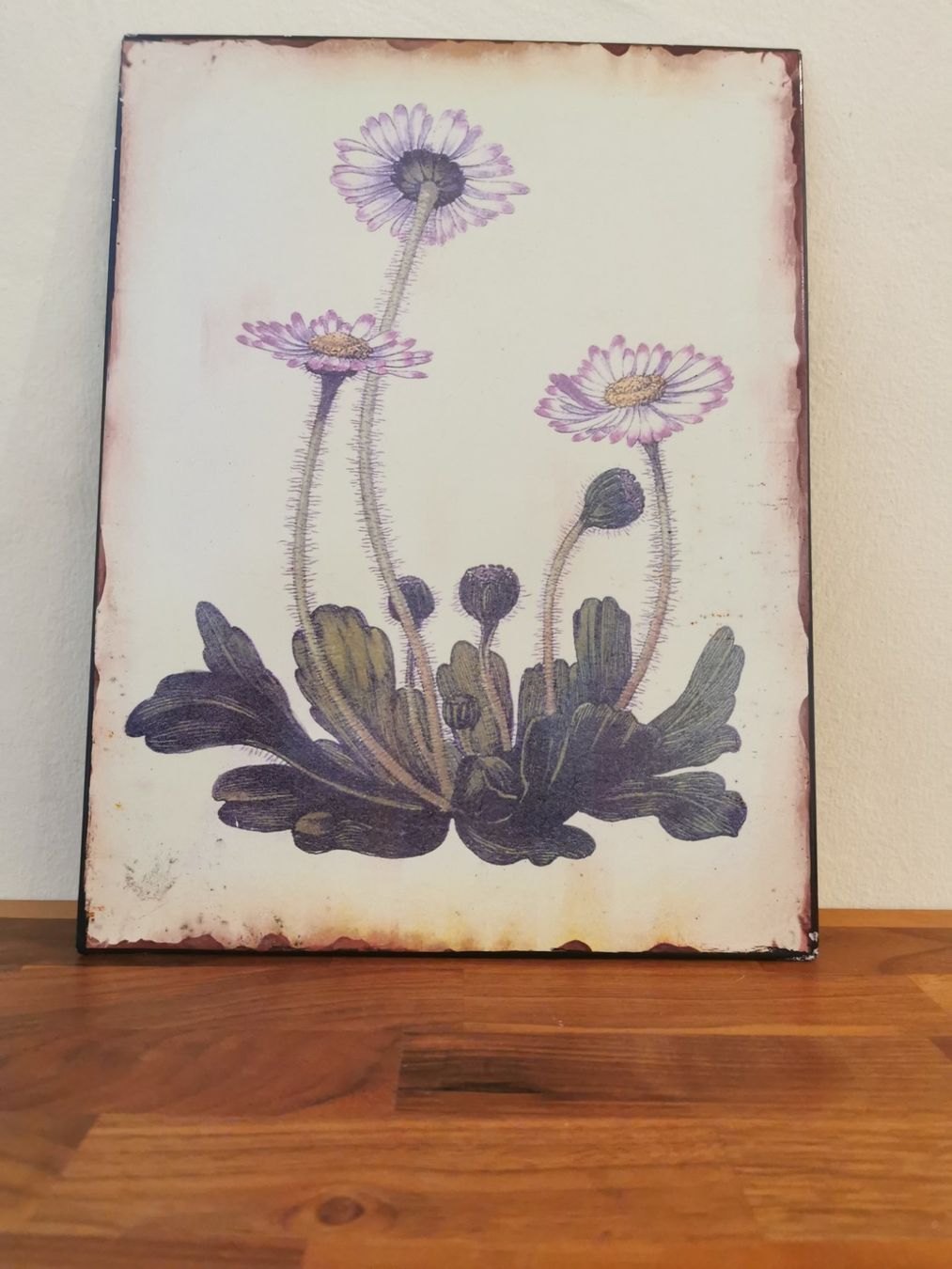 Foto & Immagini: Schönes Blumen Bild auf Blech / Metall – Usato da Boniswil venduto da Totomat-Lady2 1
