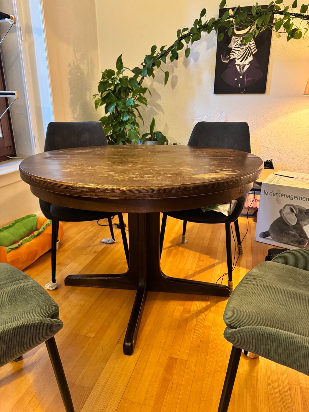 Tische: Table à manger extensible – Gebraucht aus Genève von mar_c5vq