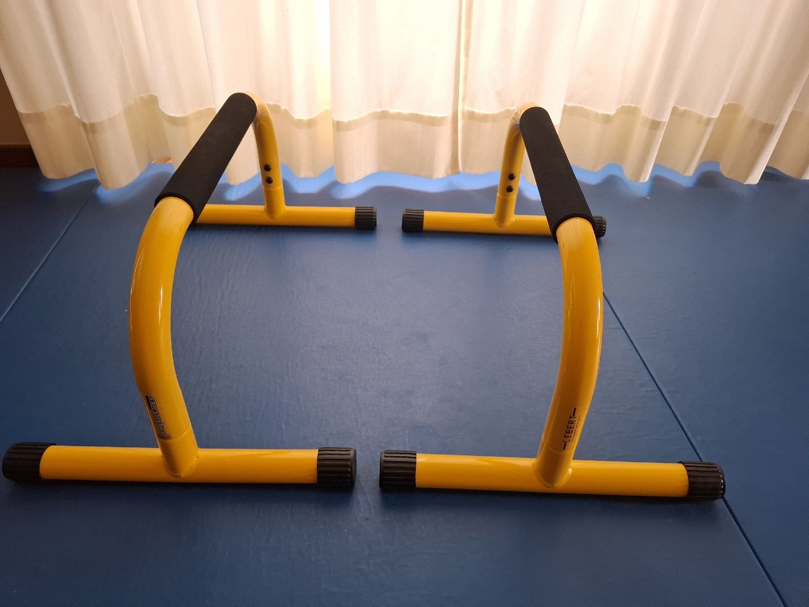 Hometrainer: Barres parallèles Lebert Fitness – Usato da Le Locle venduto da Maria.222 1