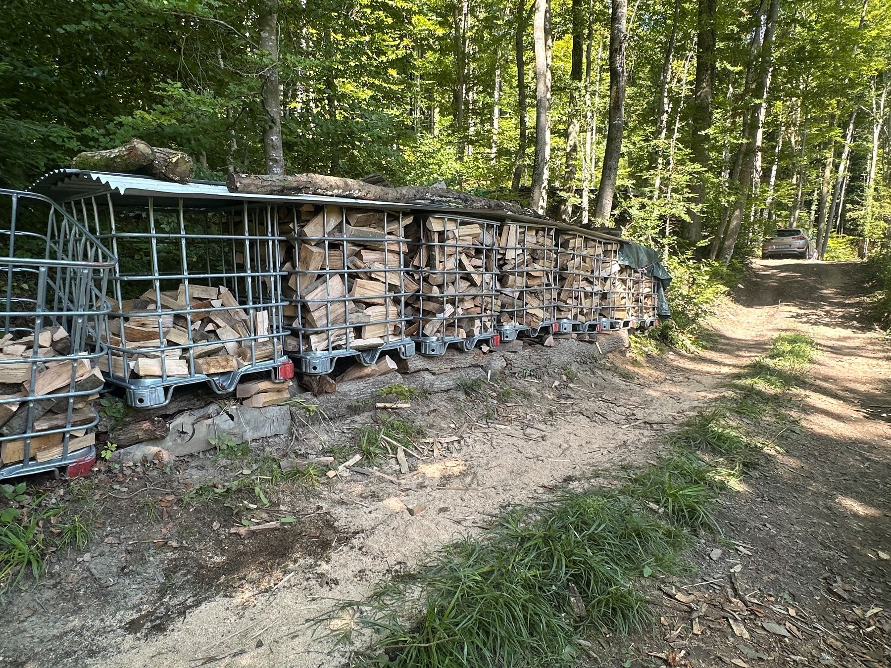 Articoli in legno: Brennholz / Cheminéeholz – Nuovo (secondo la descrizione) da Subingen venduto da PaMuri 5