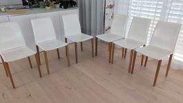Esszimmerstühle Eiche - weiss in Kustleder