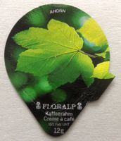 Série 525 (Attaches) - Feuilles d'automne  (15)
