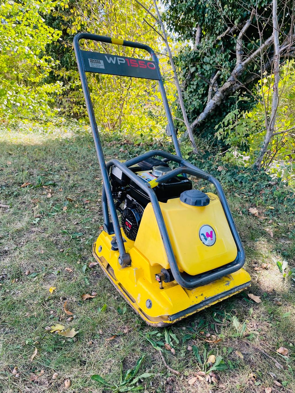 Wacker Neuson Tutte le macchine: Vibroplatte Rüttelplatte Wacker Neuson / Honda – Usato da Dietikon venduto da L.L_GmbH 3