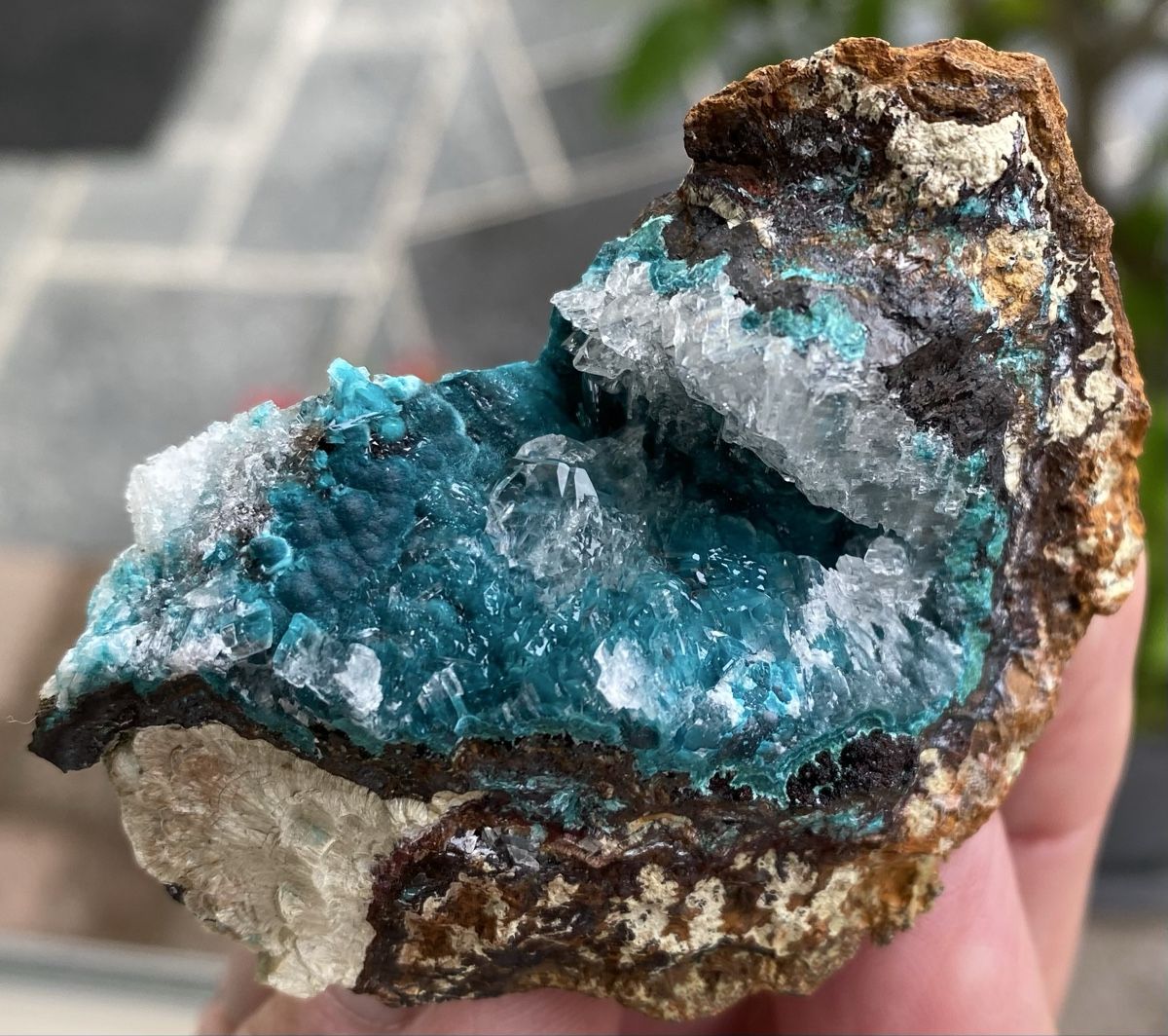 Mineralien & Heilsteine: Schöner Chrysokoll mit Calcit  – Gebraucht aus Selzach von 321compac 1