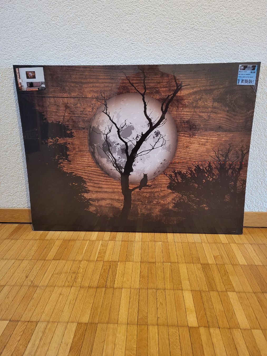 Foto & Immagini: Leinwandbild Mond/Eule 80/60 – Nuovo e nell'imballaggio originale da Riniken venduto da Melanie910