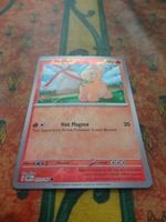 POKEMON  Numel   G  OBF EN  031/197   HP90   2023
