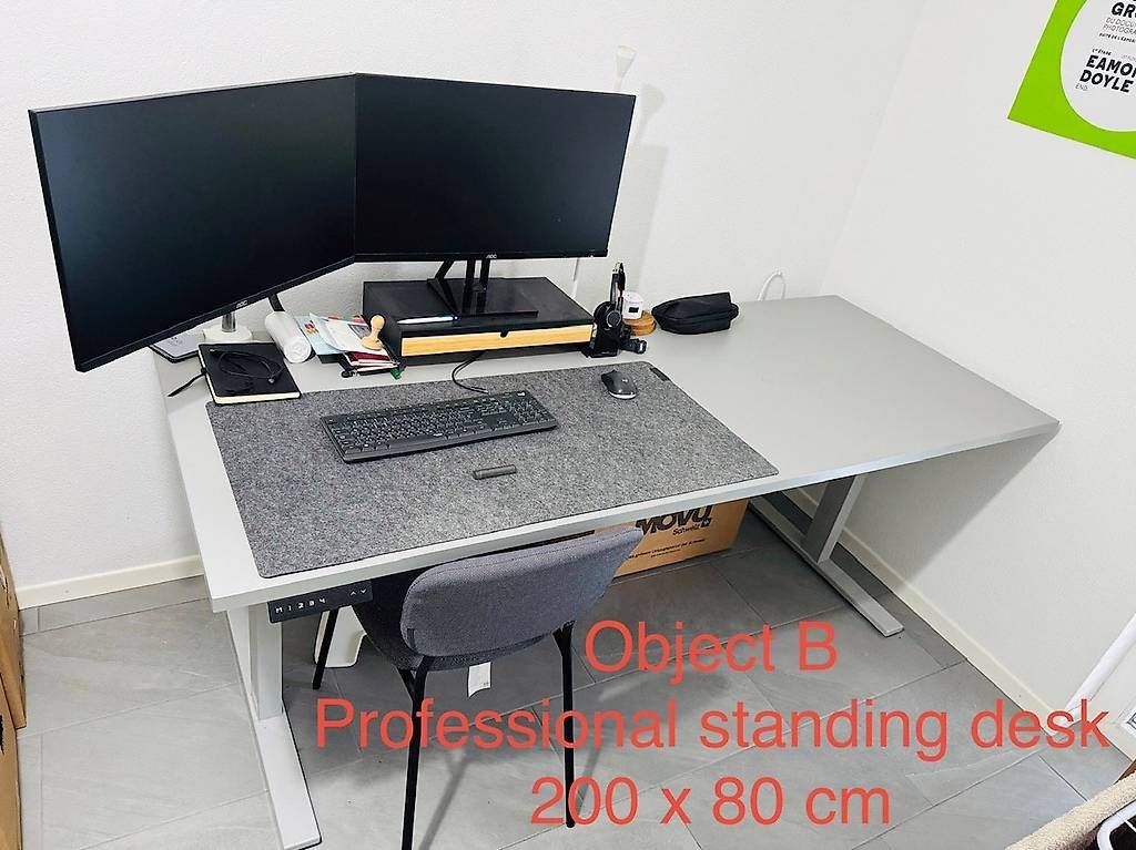 Scrivanie: Bureau assis/debout professionel [200 x 80 cm] – Usato da Sierre venduto da Julien_Sierre