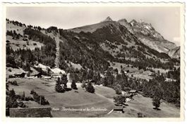 Gryon - Barboleusaz et les Diablerets