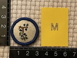 Brosche / Modeschmuck