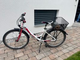 KTM Wildcat 24 Zoll Mädchenvelo mit Korb, Sommer-Velo, Top!