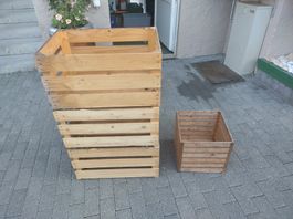 Holzharass