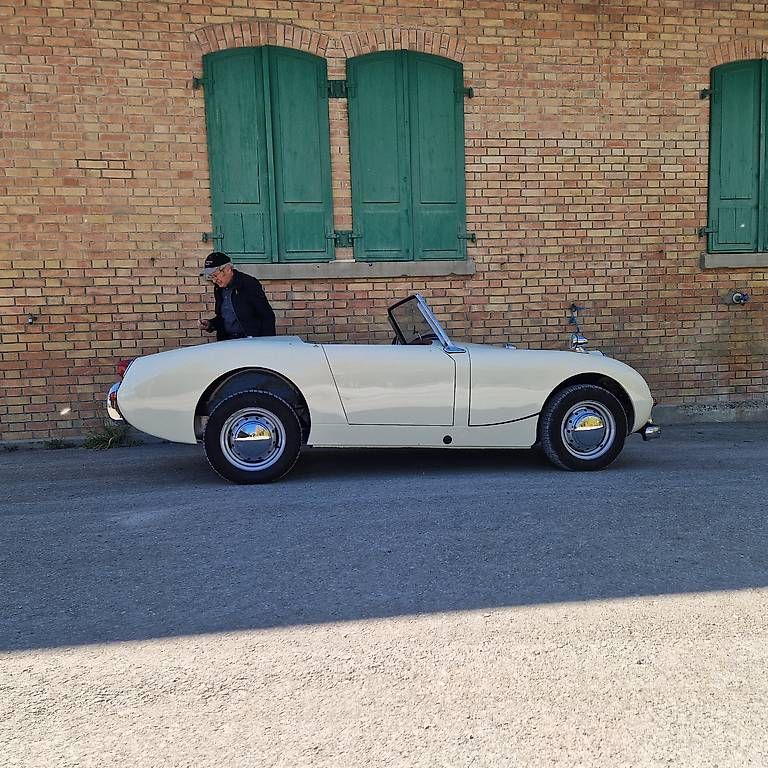 Automobili: Top Restaurierter Healey – Usato da Dussnang venduto da sokrates321 4