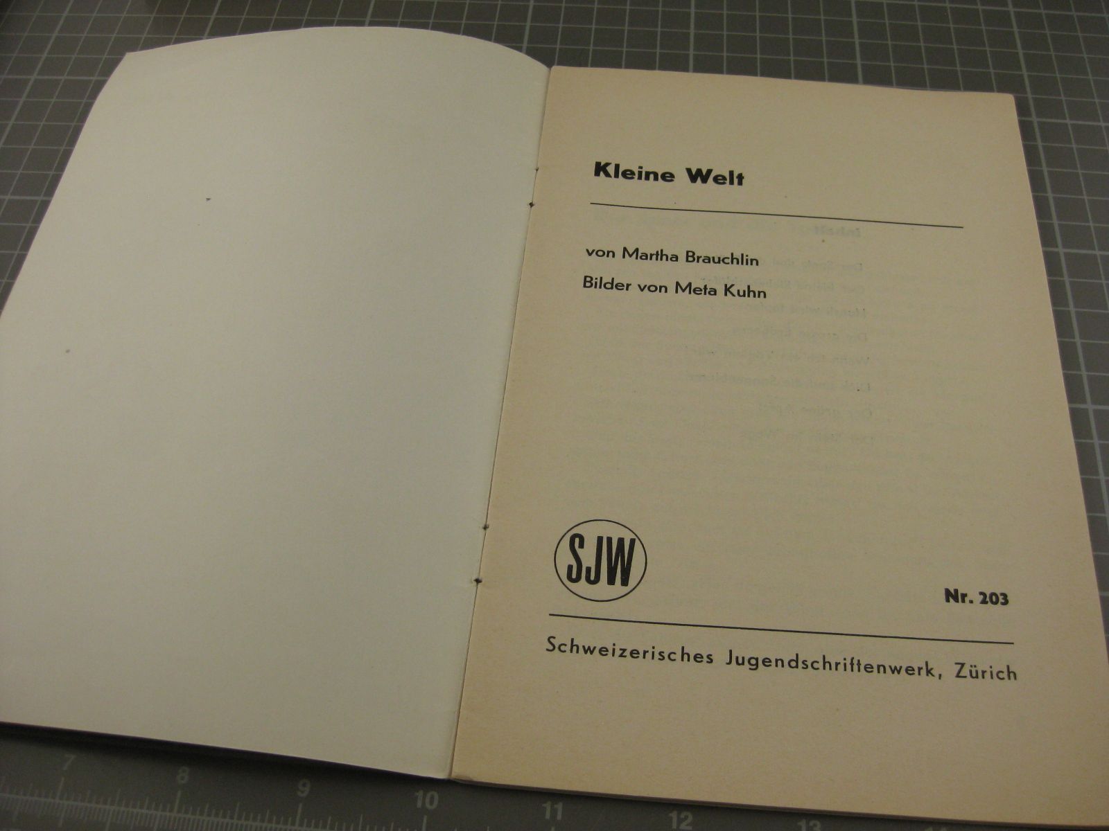 Riviste & Magazine: SJW Heft 203, Kleine Welt – Usato da Malters venduto da Marosko 1