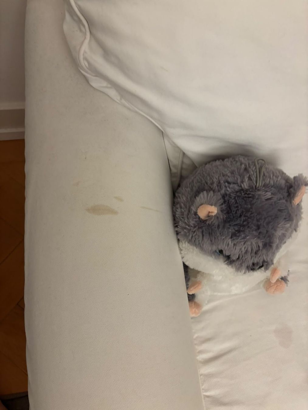 Ikea Sofas: IKEA EKTORP 2er-Sofa weiss – D'occasion à Zürich par Auftreiber 6