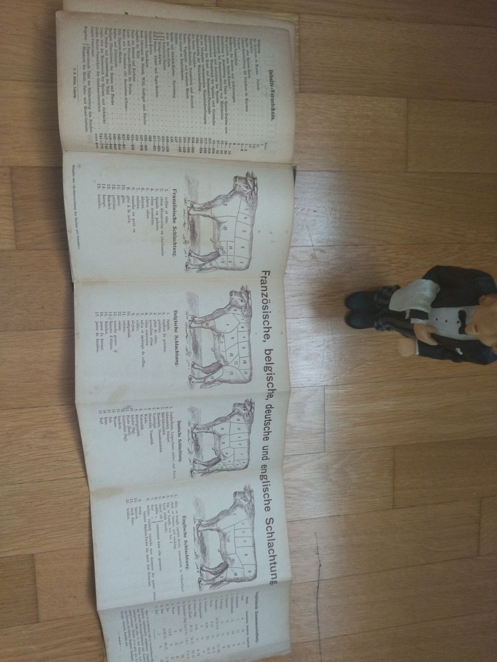 Libri: Kochbuch antik 1899 – Usato da Felben-Wellhausen venduto da bananajoe8474 4