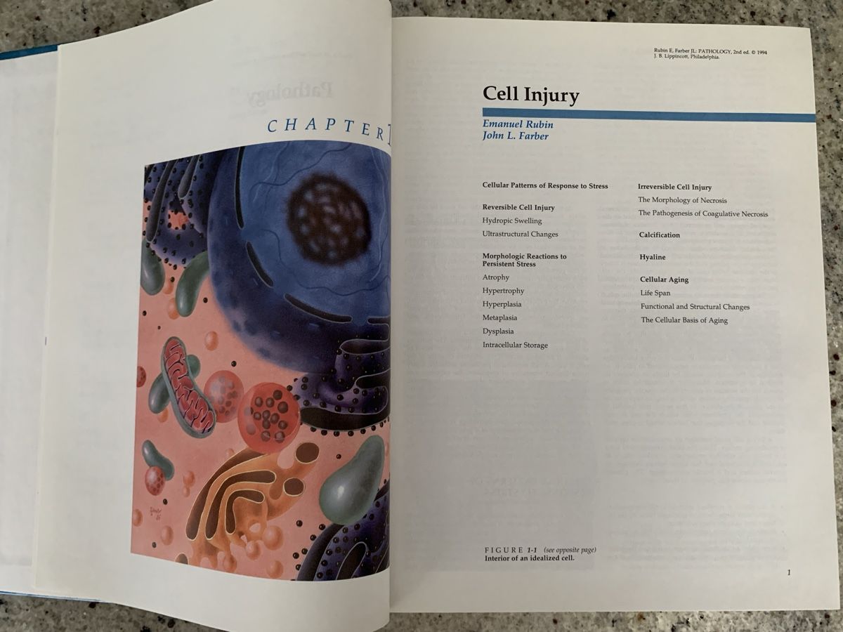 Libri: Pathology 2nd Edition Rubin & Farber Textbook – Usato da Genève venduto da sunsustains 4