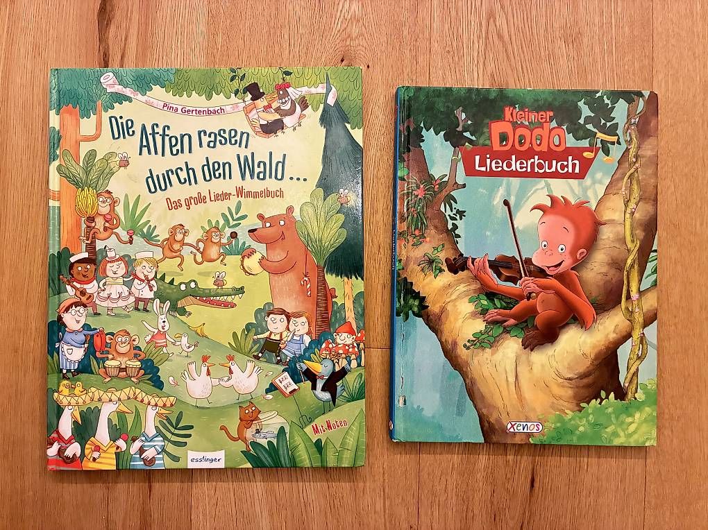 Livres: Kindersingbücher – D'occasion à Schmiedrued par Giorda