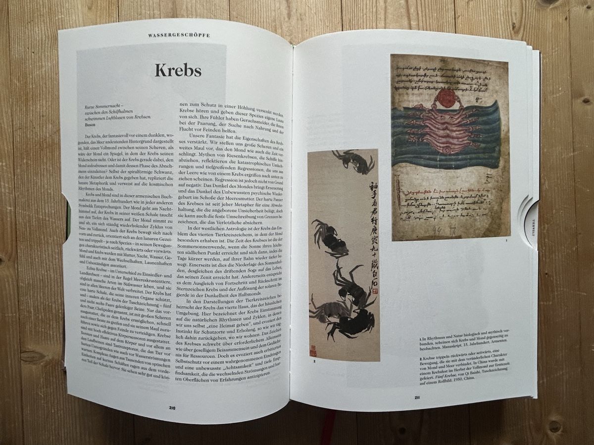 Libri: Das Buch der Symbole - Taschen – Usato da Himmelried venduto da rasmus67 7
