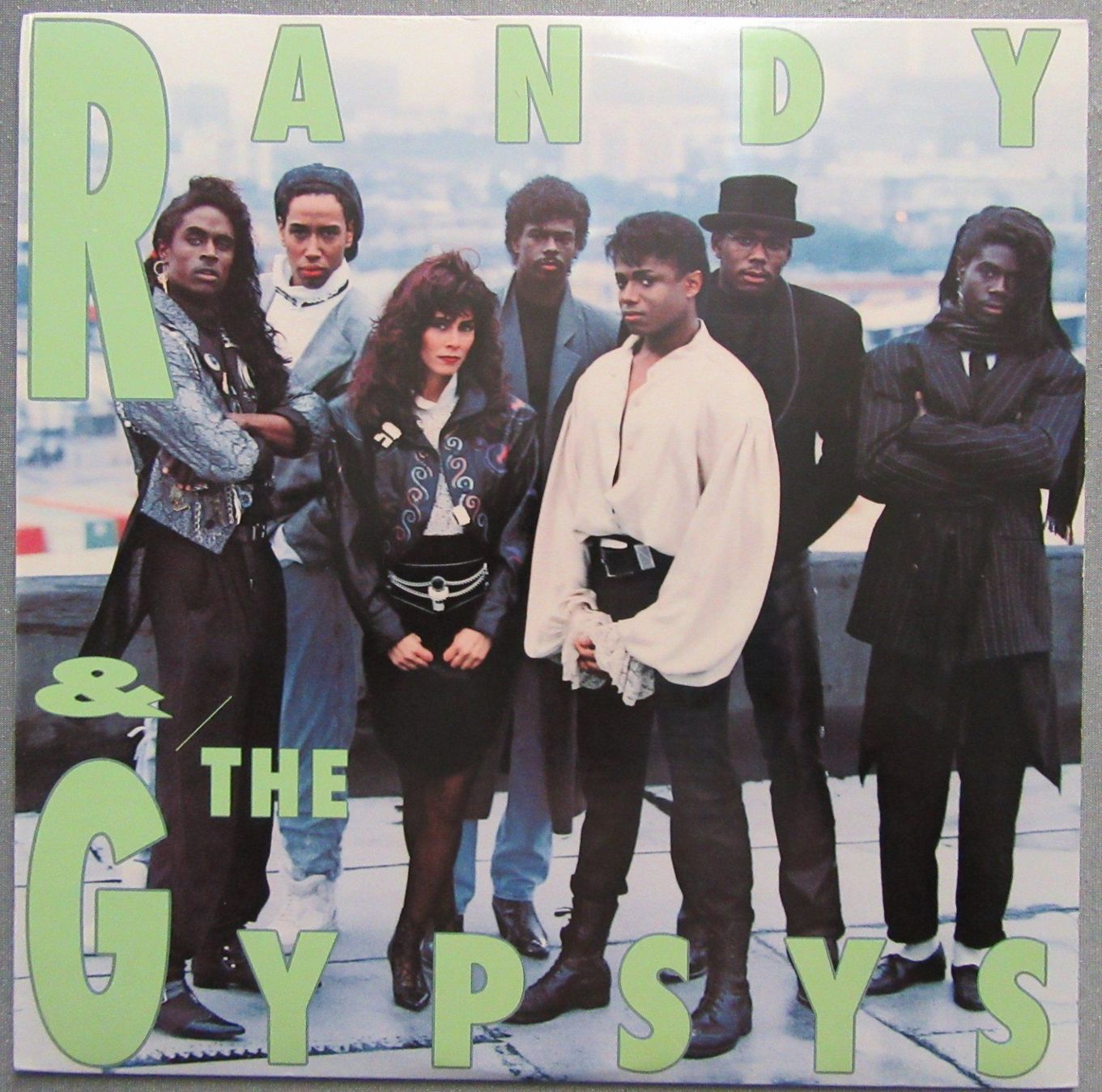 Dischi in vinile: Randy & The Gypsys - LP ab CHF 4.00 – Usato da Auenstein venduto da Padabimbim