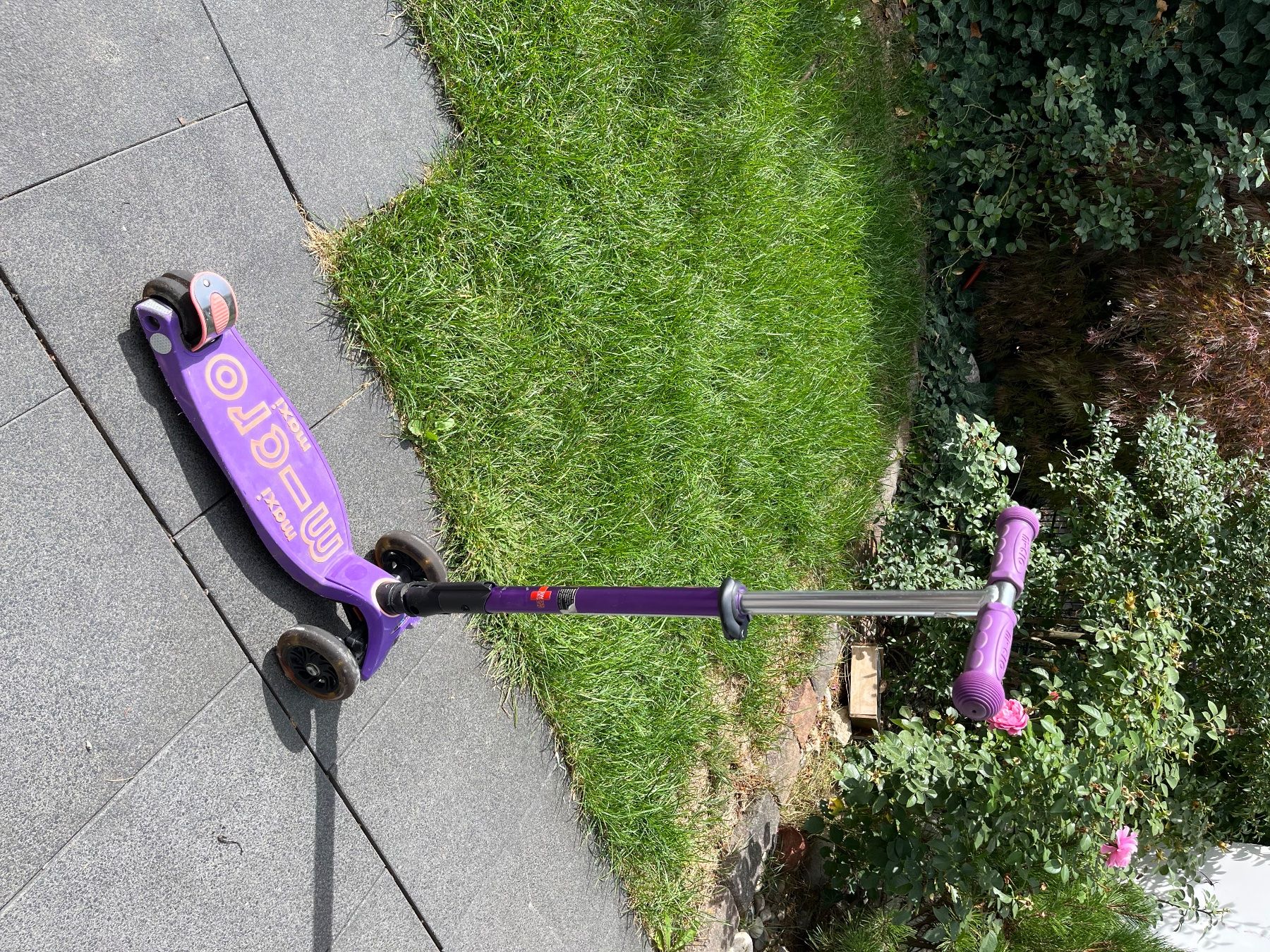 Micro Kickboard: Maxi Micro Roller / Scooter / Trotti – D'occasion à Reinach BL par jrr_n9bb 1