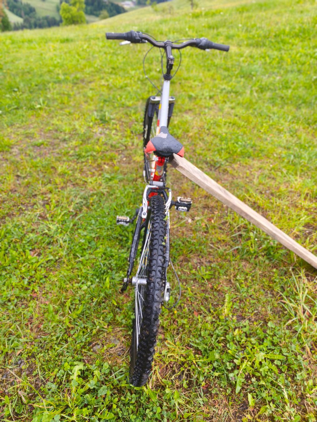 Aldi Biciclette: Velo – Difettoso da St.Peterzell venduto da nad_79 1
