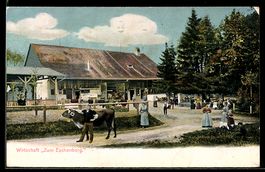 AK Winterthur, Gasthaus Zum Eschenberg, H. Elliker