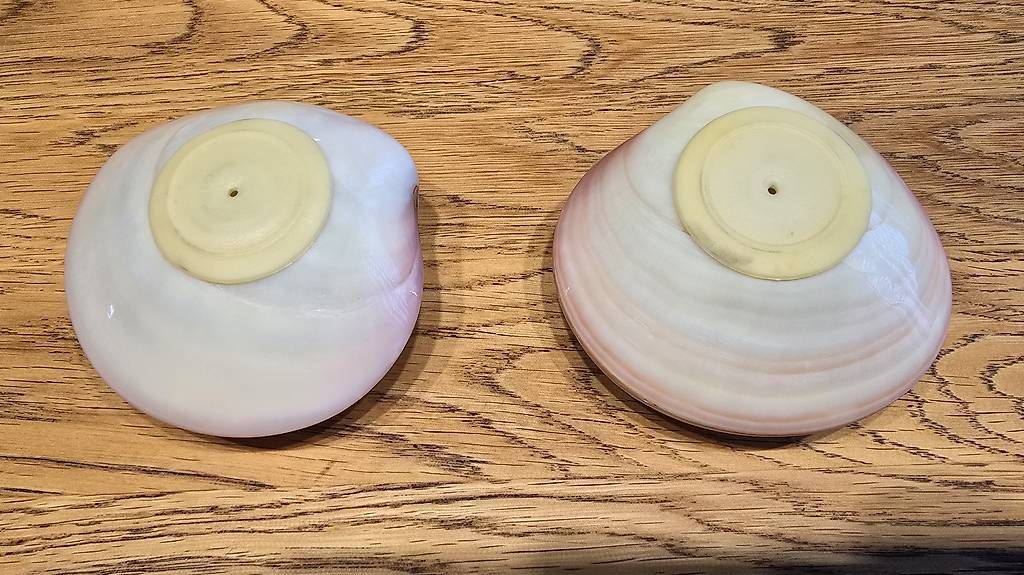 Lampade: Lava Shell Massage clam – Usato da Zürich venduto da Botoro32 2