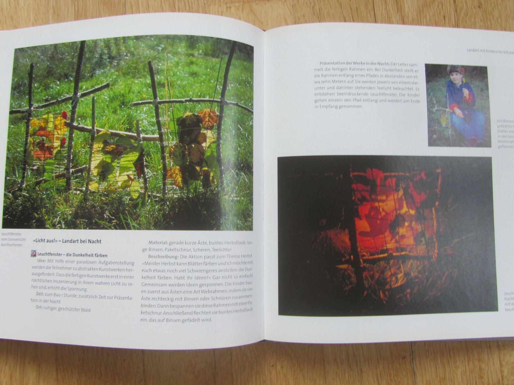 Libri: Naturwerkstatt Landart – Usato da Seengen venduto da mikelele 5