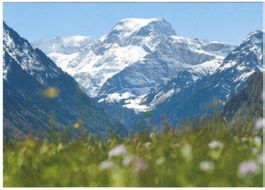 AK Der Tödi im Frühling