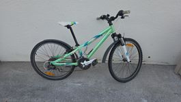 Kindervelo Scott Contessa grün 24 Zoll gefedert, gebraucht