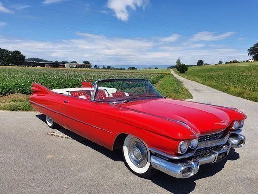 Cadillac Automobili: Cadillac 1959 Cabriolet - Mieten möglich – Usato da Cressier FR venduto da Rzmstar 3