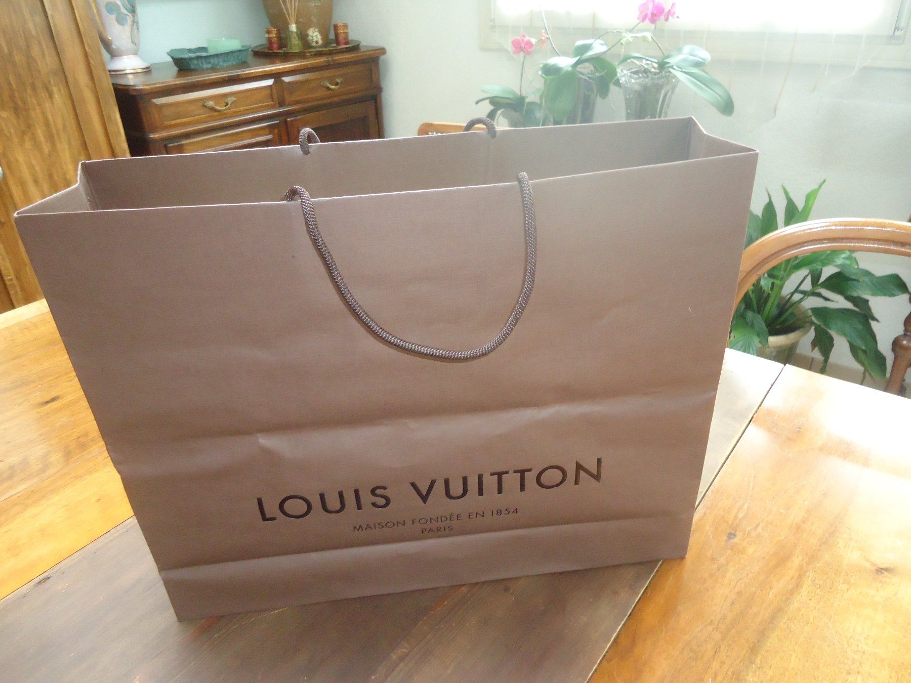 Louis Vuitton Borse: Sac en papier Louis Vuitton – Usato da Vessy venduto da mafabe 3