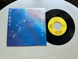 PETER SUE & MARC SCHELL Single SWISS Kult Top Hit Birds CH
