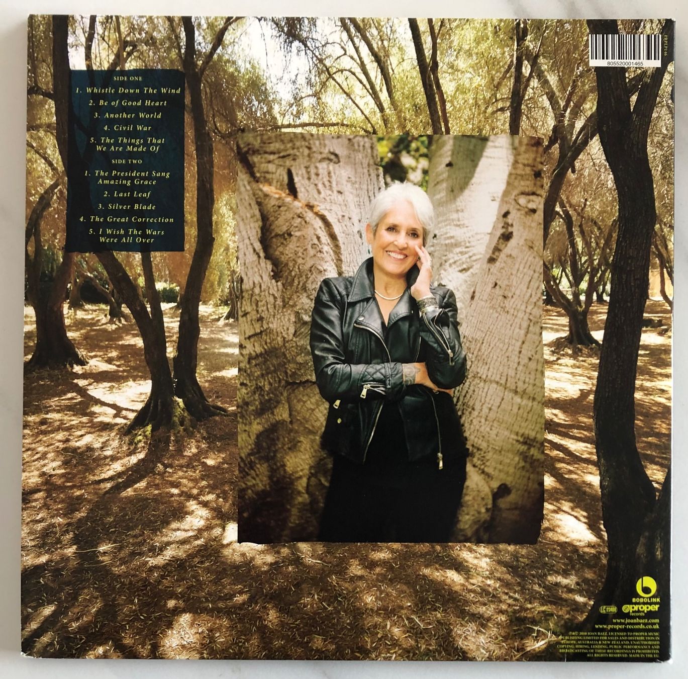 Dischi in vinile: JOAN BAEZ - WHISTLE DOWN THE WIND – Usato da Poliez-Pittet venduto da Newtown-Records 1