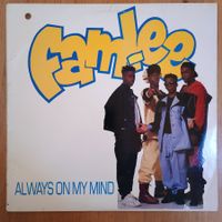 Fam-Lee ‎– Always On My Mind 12" US-1991 VG++ / G++