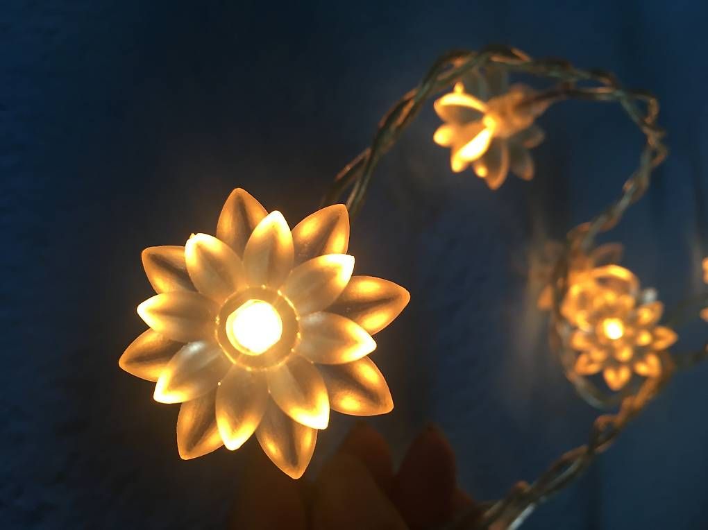 Lichterketten & Leisten: Leuchtkette Blumen – Gebraucht aus Zürich von BuenosAires03 2